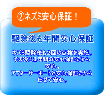 ②ネズミ安心保証！