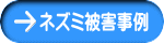 ネズミ被害事例