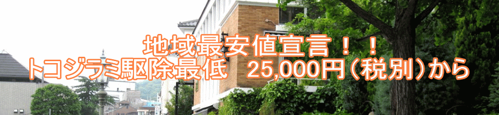 　地域最安値宣言！！ トコジラミ駆除最低　25,000円（税別）から