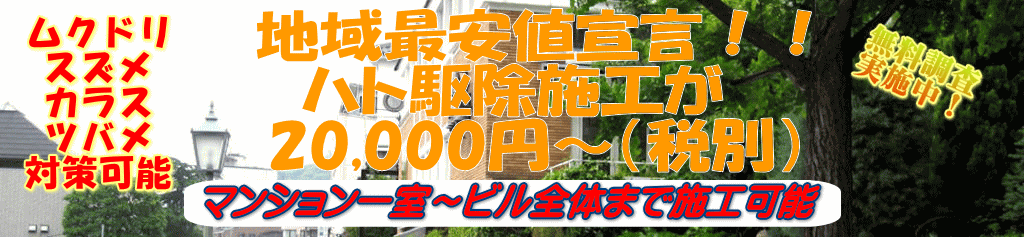 　地域最安値宣言！！ ハト駆除施工が 　21,000円～（税込） 