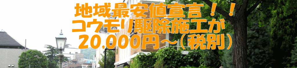 　地域最安値宣言！！ コウモリ駆除施工が 　21,000円～（税込） 