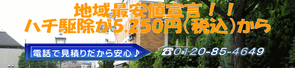 　地域最安値宣言！！ ハチ駆除が5,250円（税込）から  