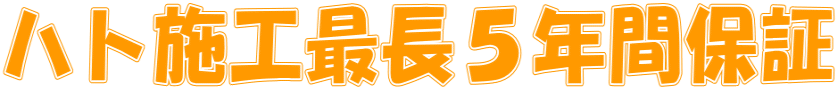 ハト施工最長5年間保証